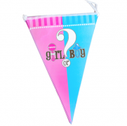 Vėliavėlių girlianda, BABY SHOWER, 1 vnt.