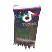 Vėliavėlių girlianda, TIKTOK, 1 vnt.