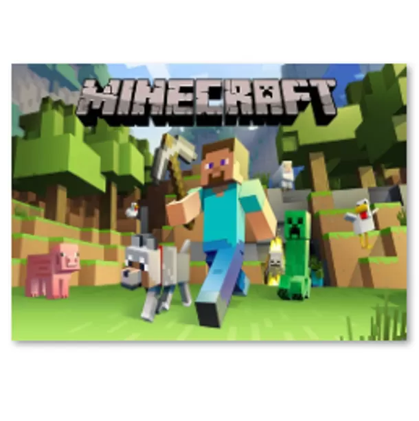 Fotosienelė, MINECRAFT, 120 cm x 150 cm, 1 vnt.