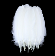 Plunksnos, 8-12 cm, 100 vnt.