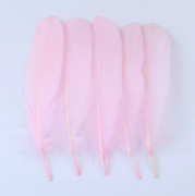 Plunksnos, 8-12 cm, 100 vnt.