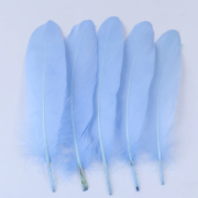 Plunksnos, 8-12 cm, 100 vnt.
