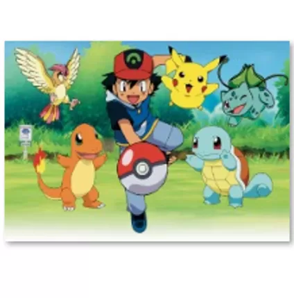 Fotosienelė, POKEMONAI, 120 cm x 150 cm, 1 vnt.