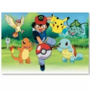 Fotosienelė, POKEMONAI, 120 cm x 150 cm, 1 vnt.